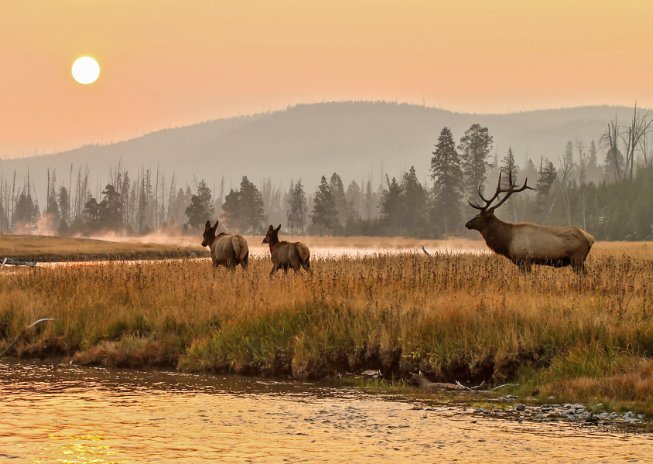 Glamping in Montana